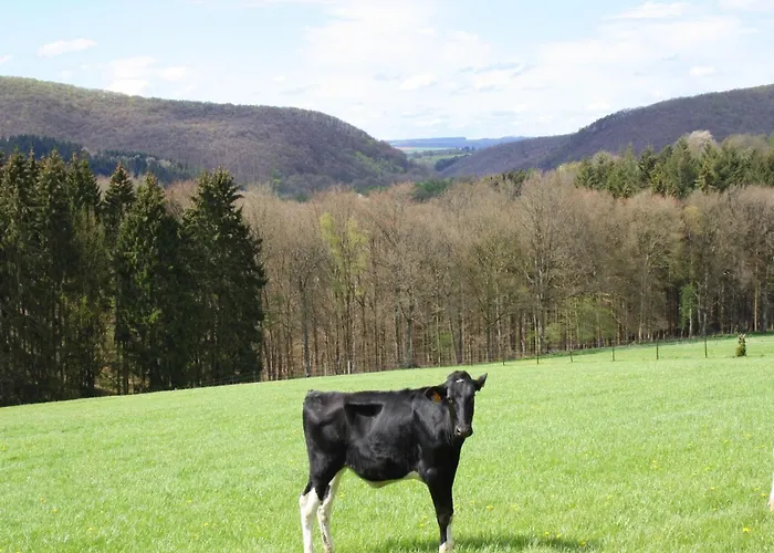 In Freyneux With Garden Villa Freineux